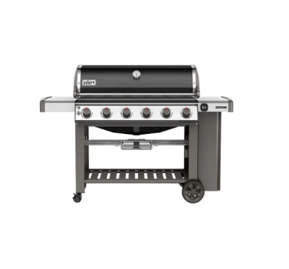 grill weber genesis II e610